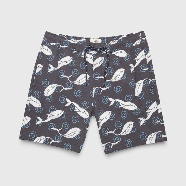 Jimmy 6.5" Whale Volley - Navy