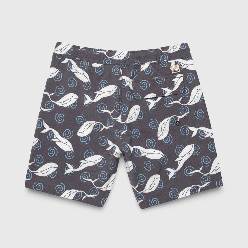 Jimmy 6.5" Whale Volley - Navy