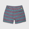 Jimmy 5” Stripe Volley - Multi