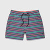 Jimmy 5” Stripe Volley - Multi